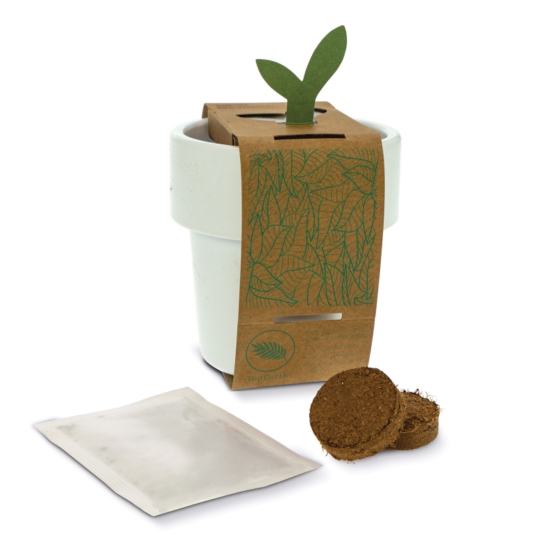 Cup with seeds | Eco promotional gift